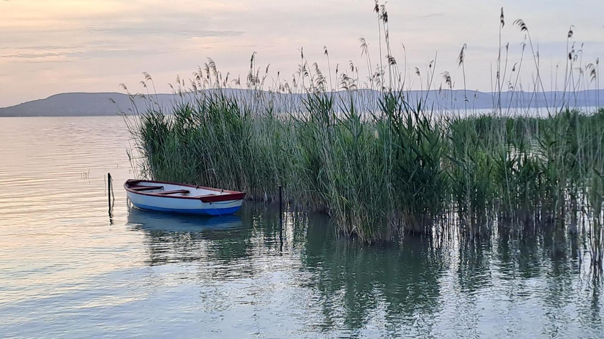 Panoramic Art Apartment With Jacuzzi Balatonlelle Εξωτερικό φωτογραφία