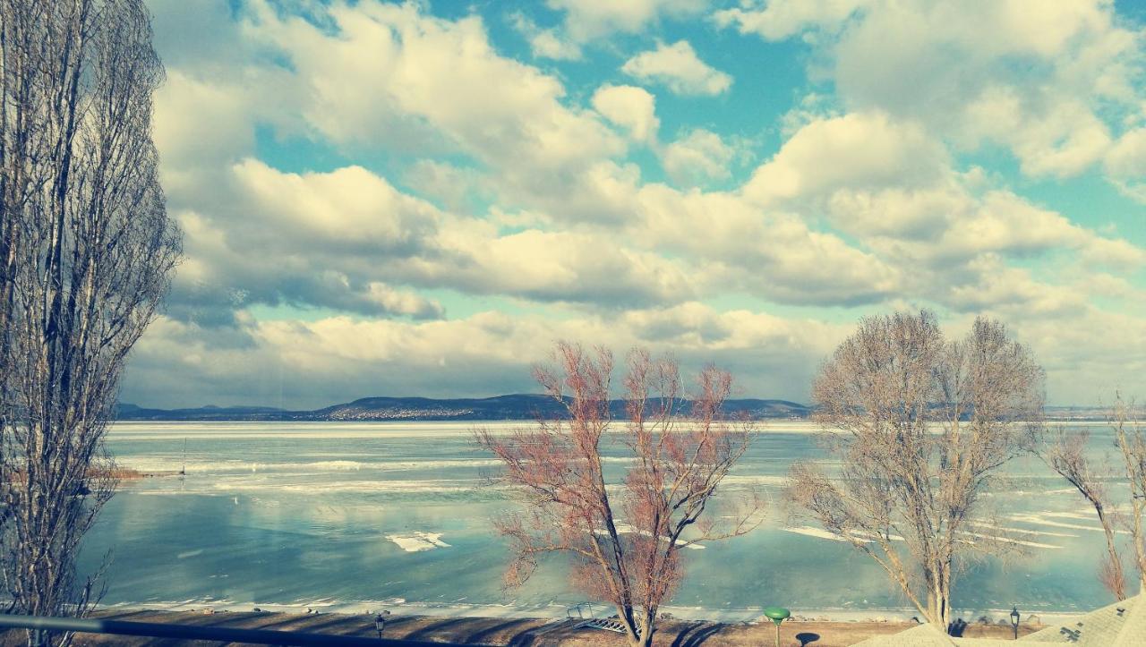 Panoramic Art Apartment With Jacuzzi Balatonlelle Εξωτερικό φωτογραφία